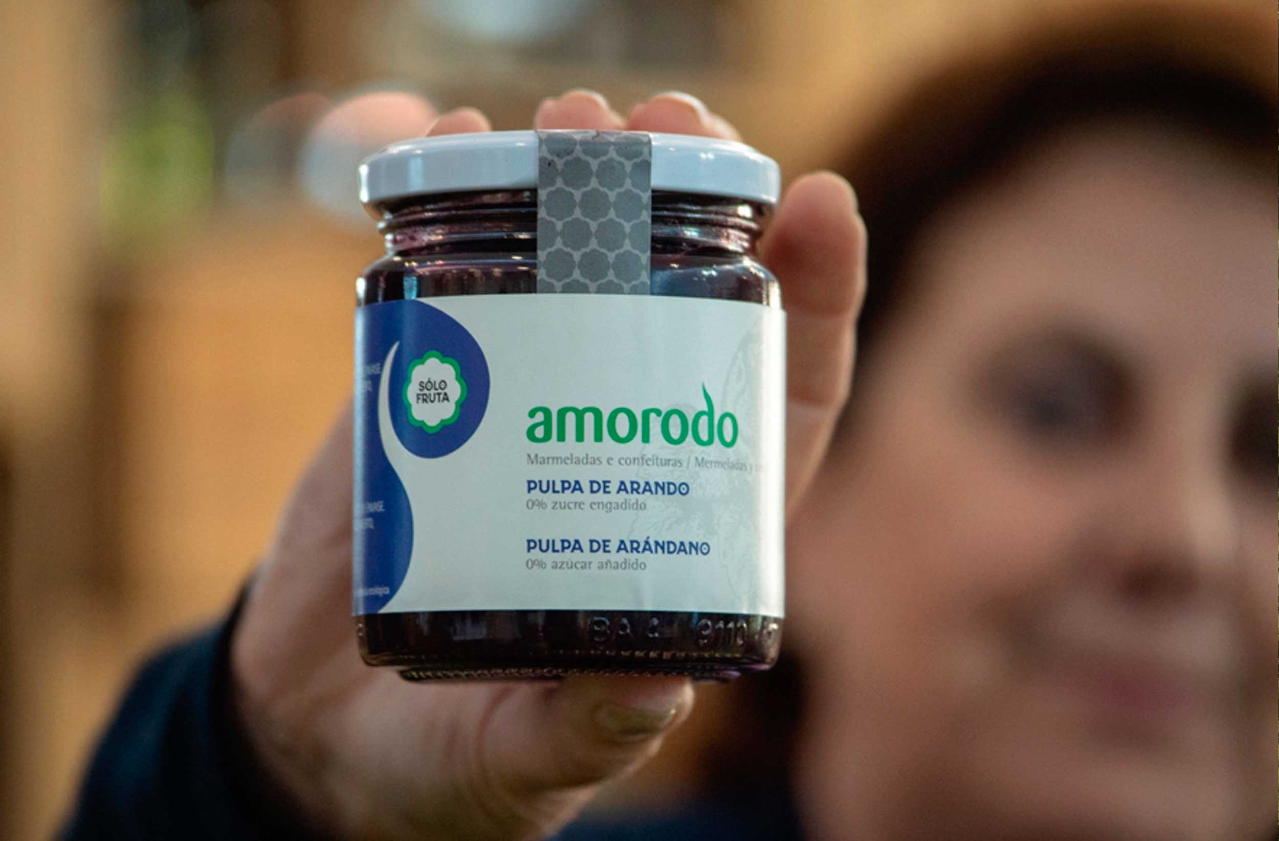 MDLC-WEB-amorodo