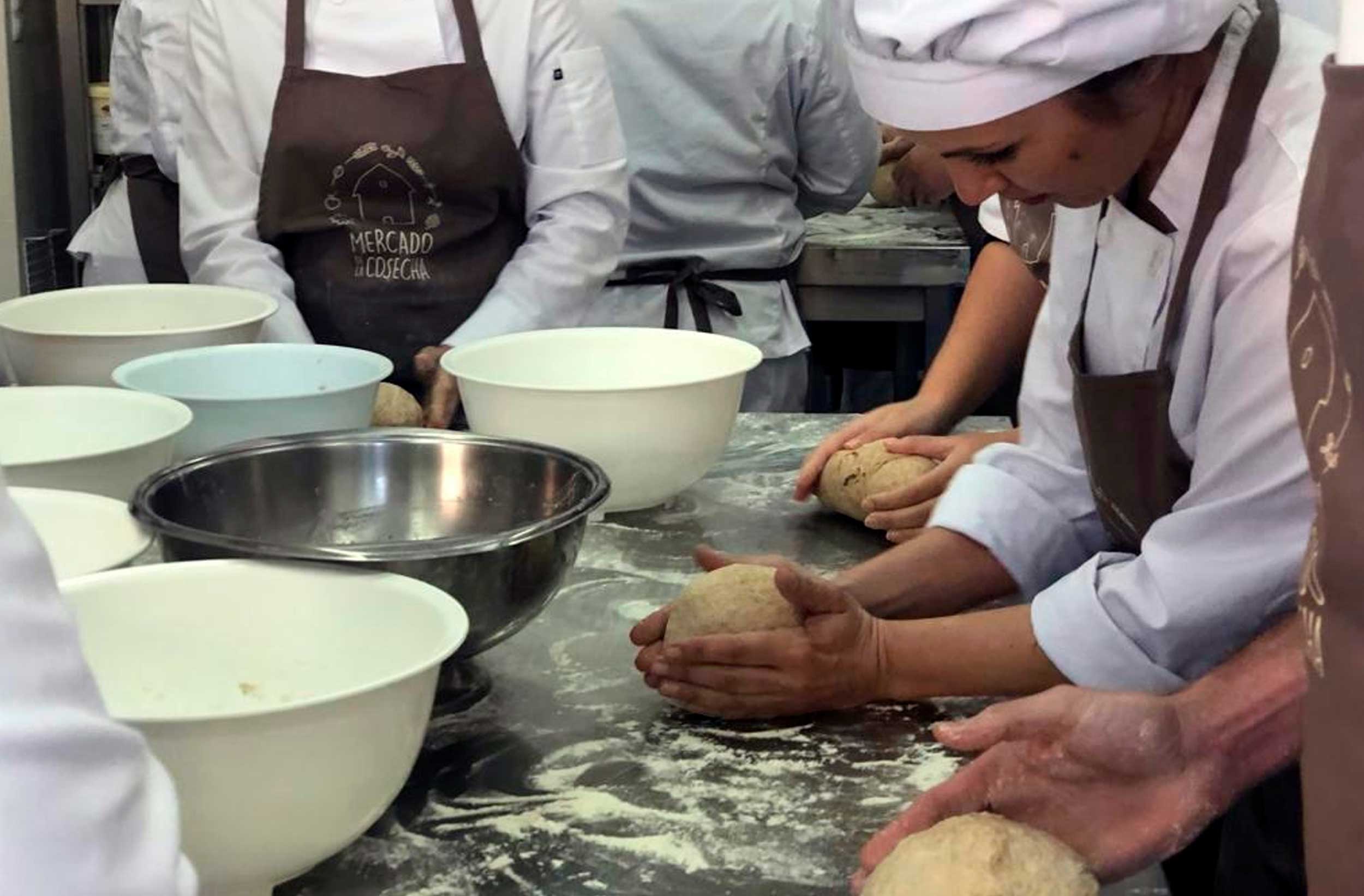 MDLC-WEB-talleres
