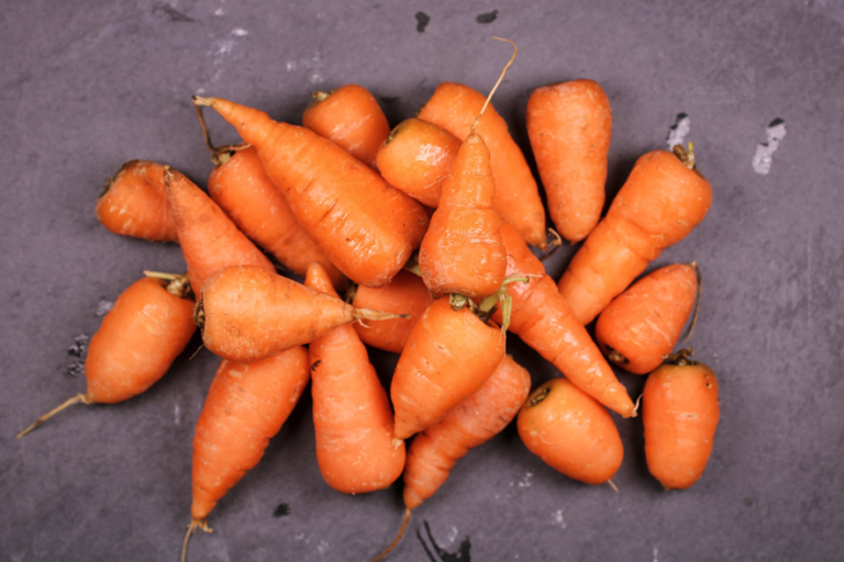 F0000001131_ugly_food_2
