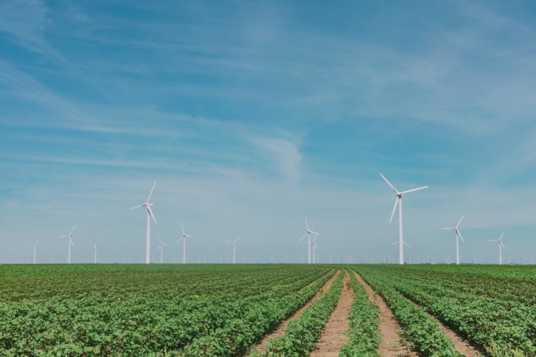 F0000001152_agriculture_alternative_alternative_energy_2310064