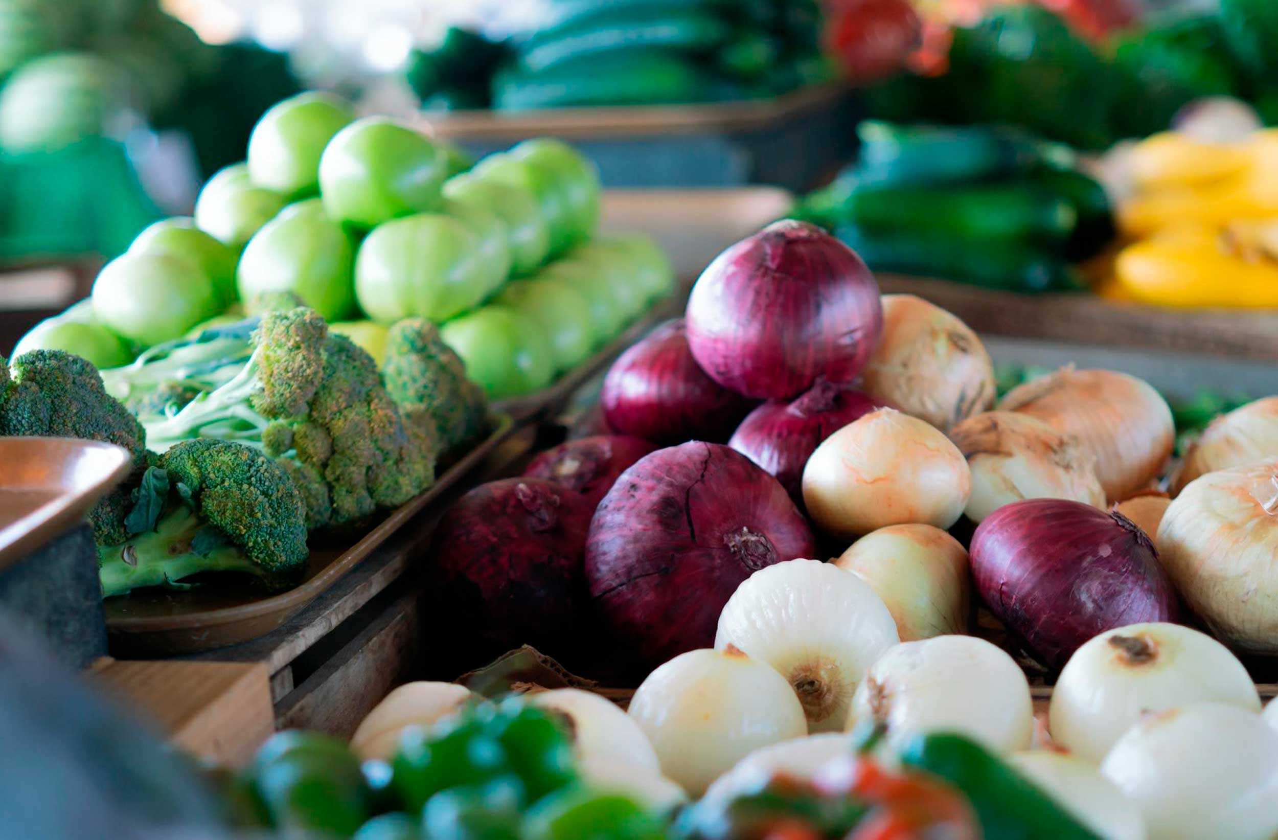MDLC-WEB-alimentos