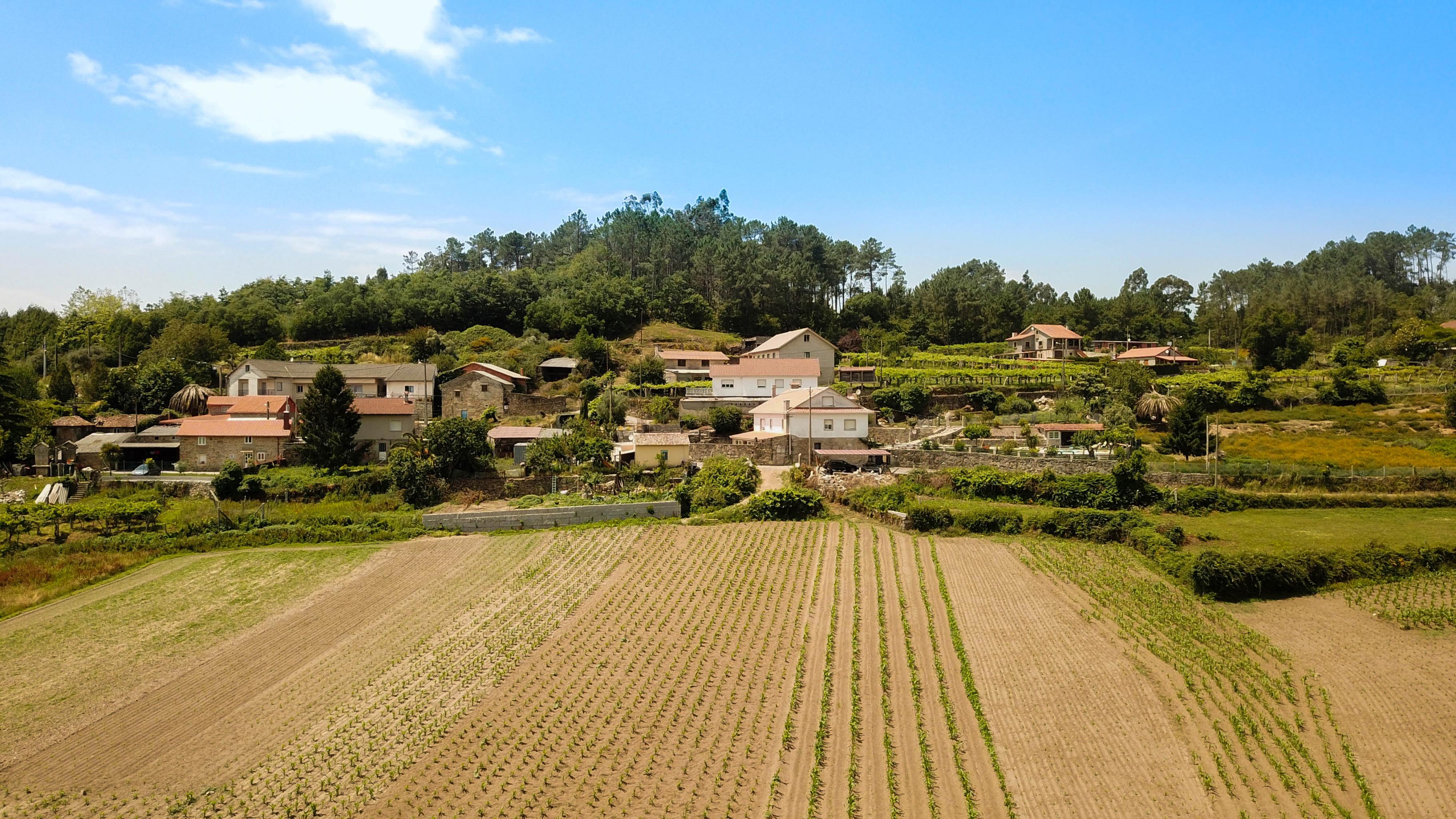 DJI_0090