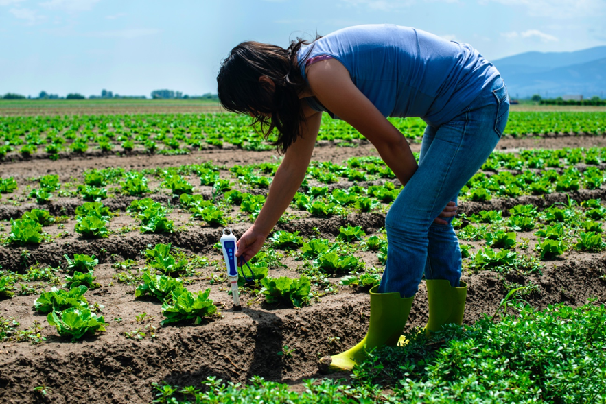 Inteligencia Artificial en agricultura y ganadería
