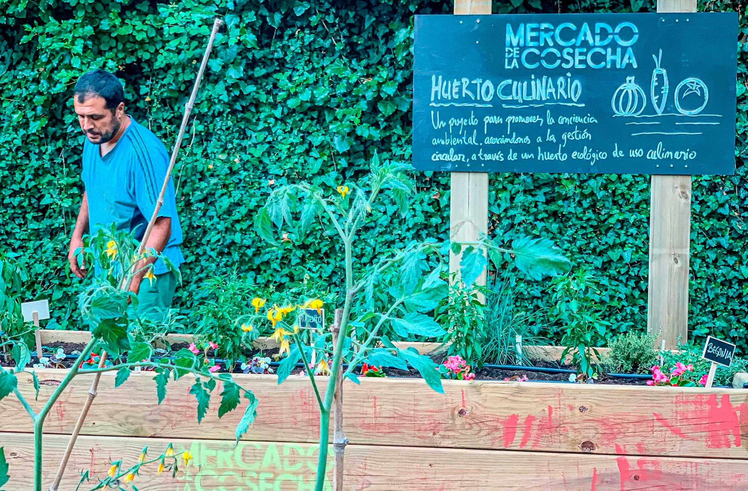 MDLC-WEB-huestos-culinarios