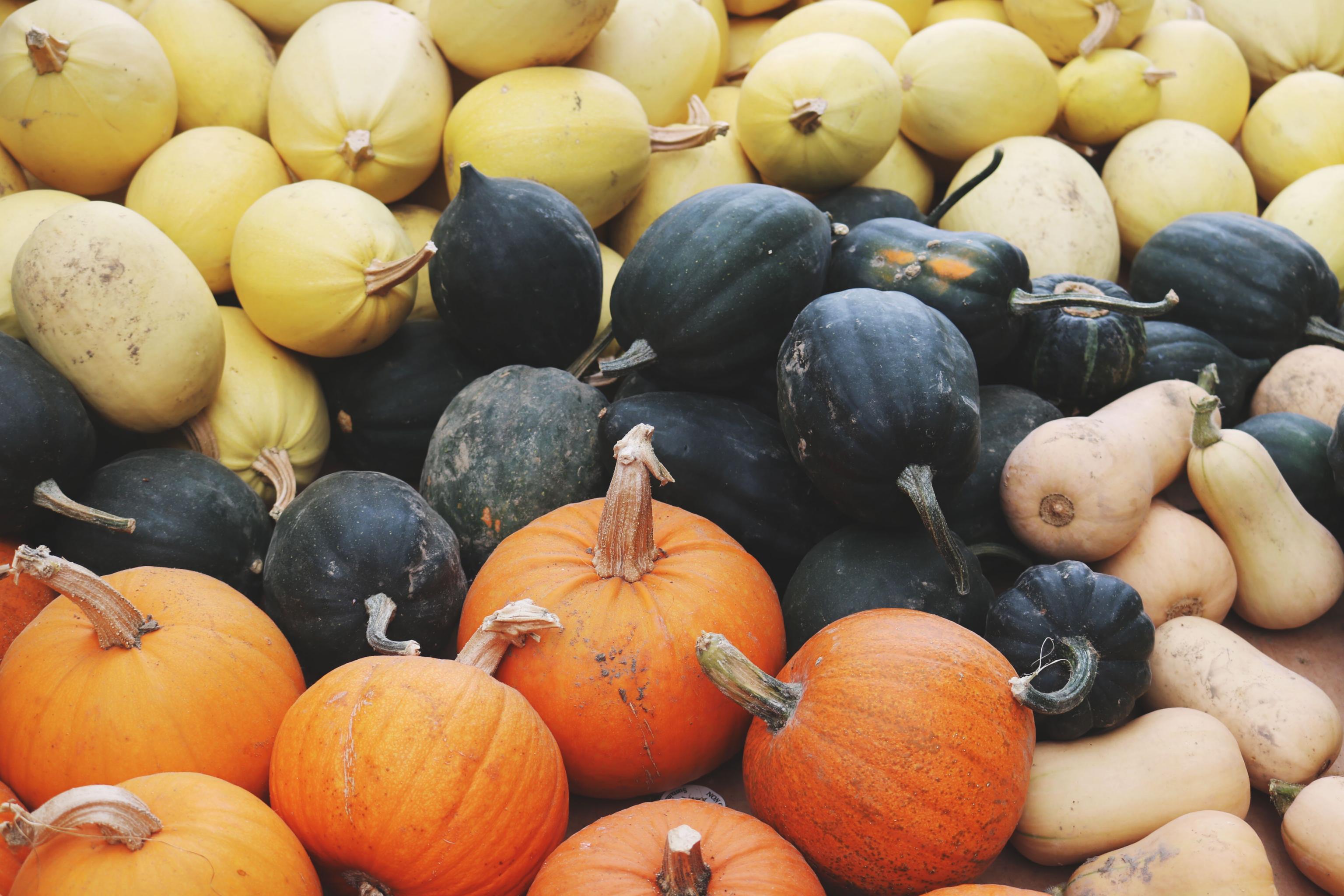 close-up-crops-different-1527010