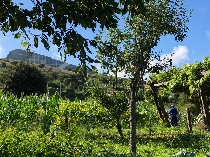qué es el rural – Mercado de la Cosecha