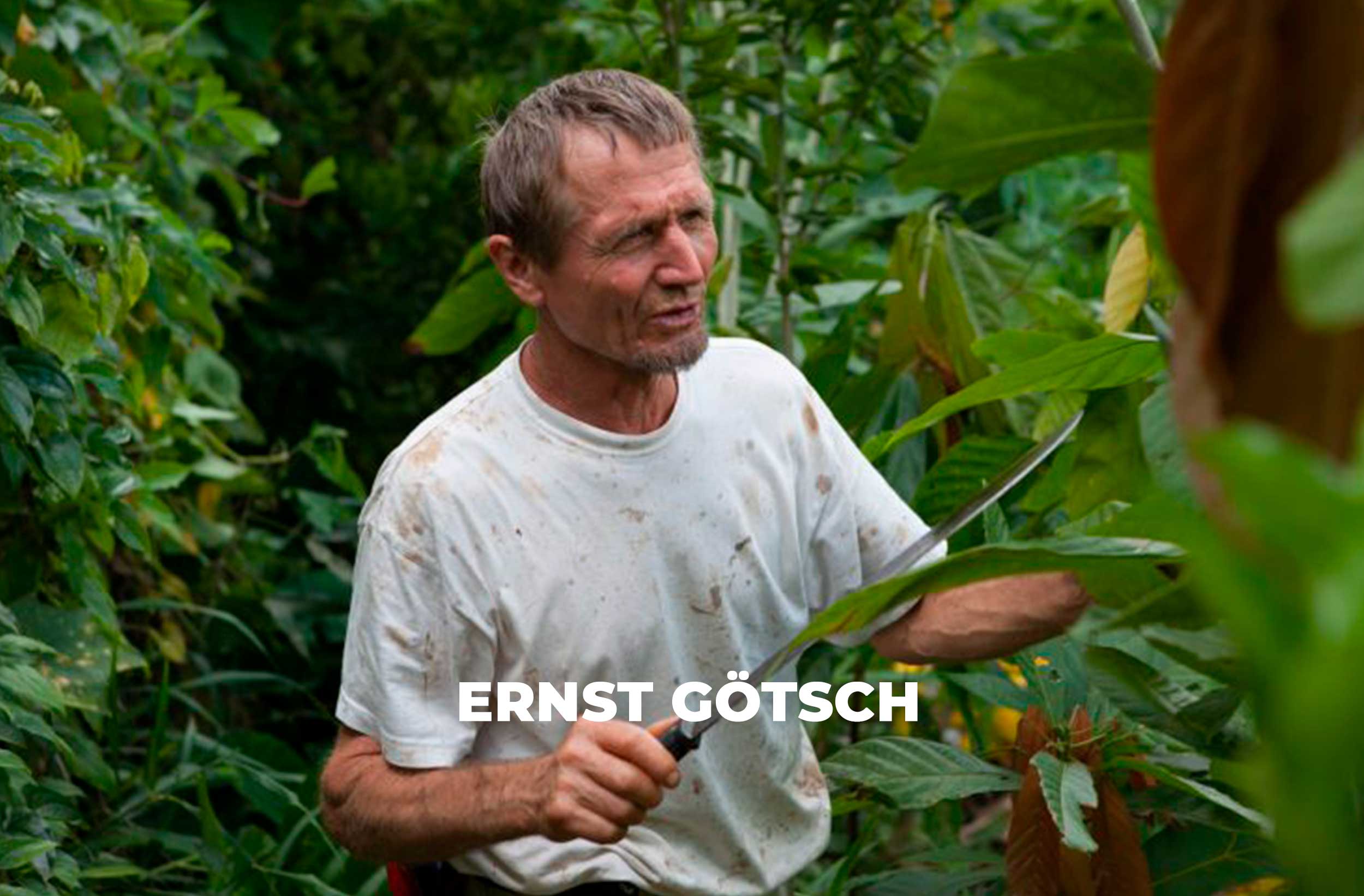 MDLC-WEB-ERNST-GOTSCH-