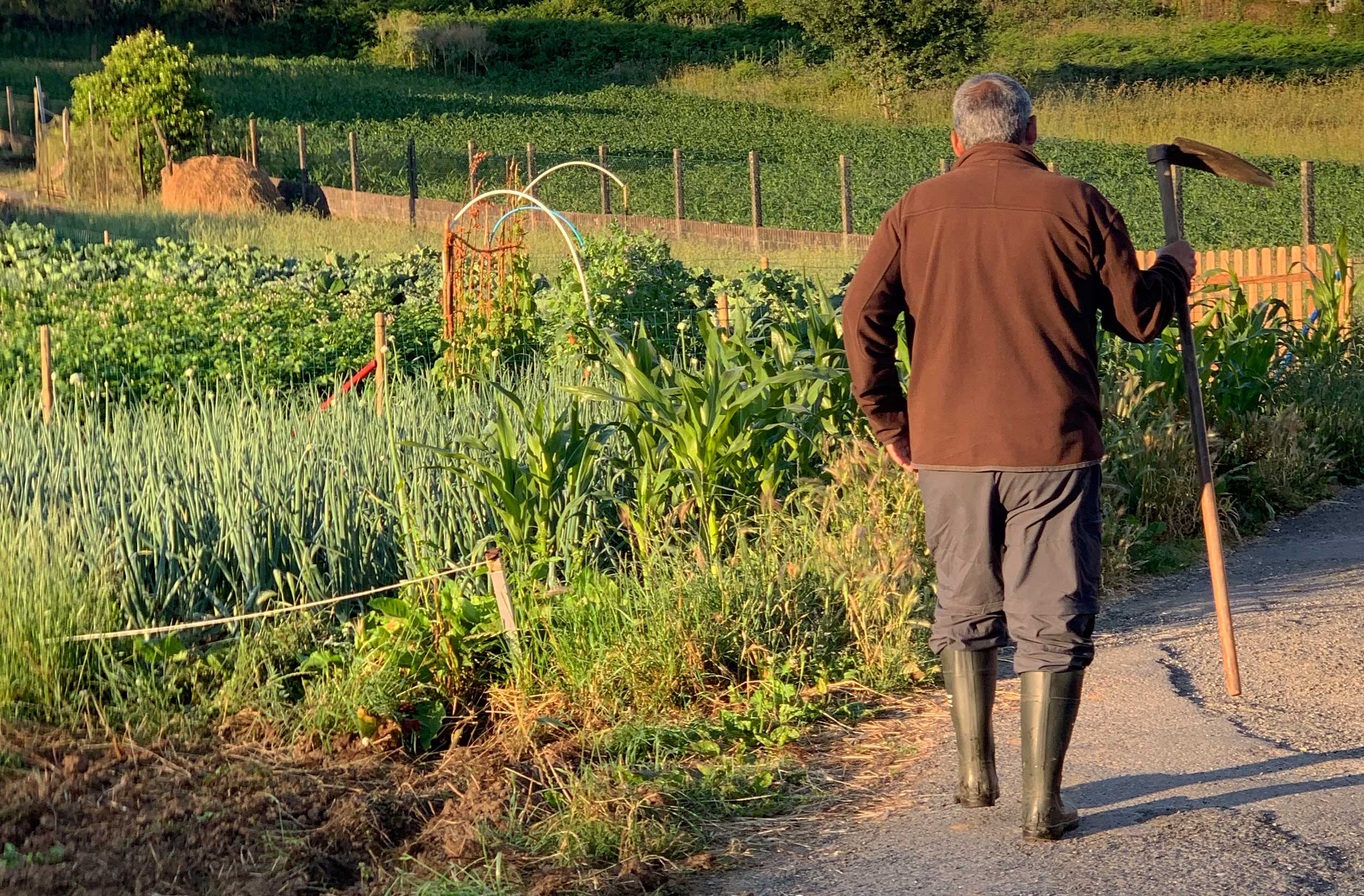 MDLC-WEB-gentes-del-campo