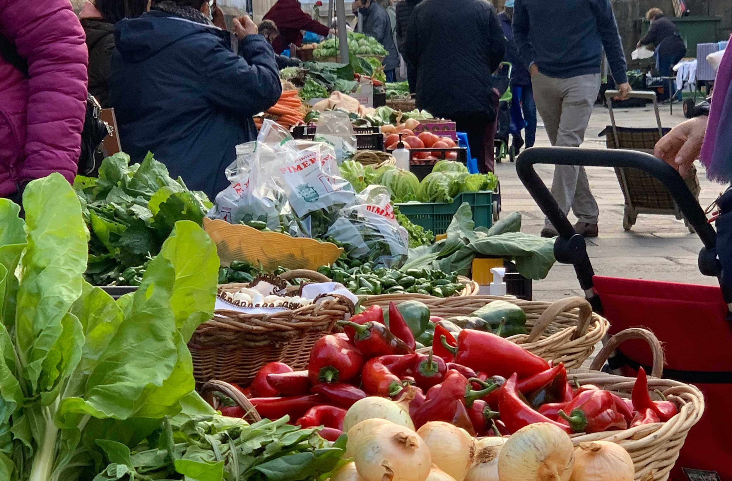 MDLC-WEB-alimento-mercadoabastos