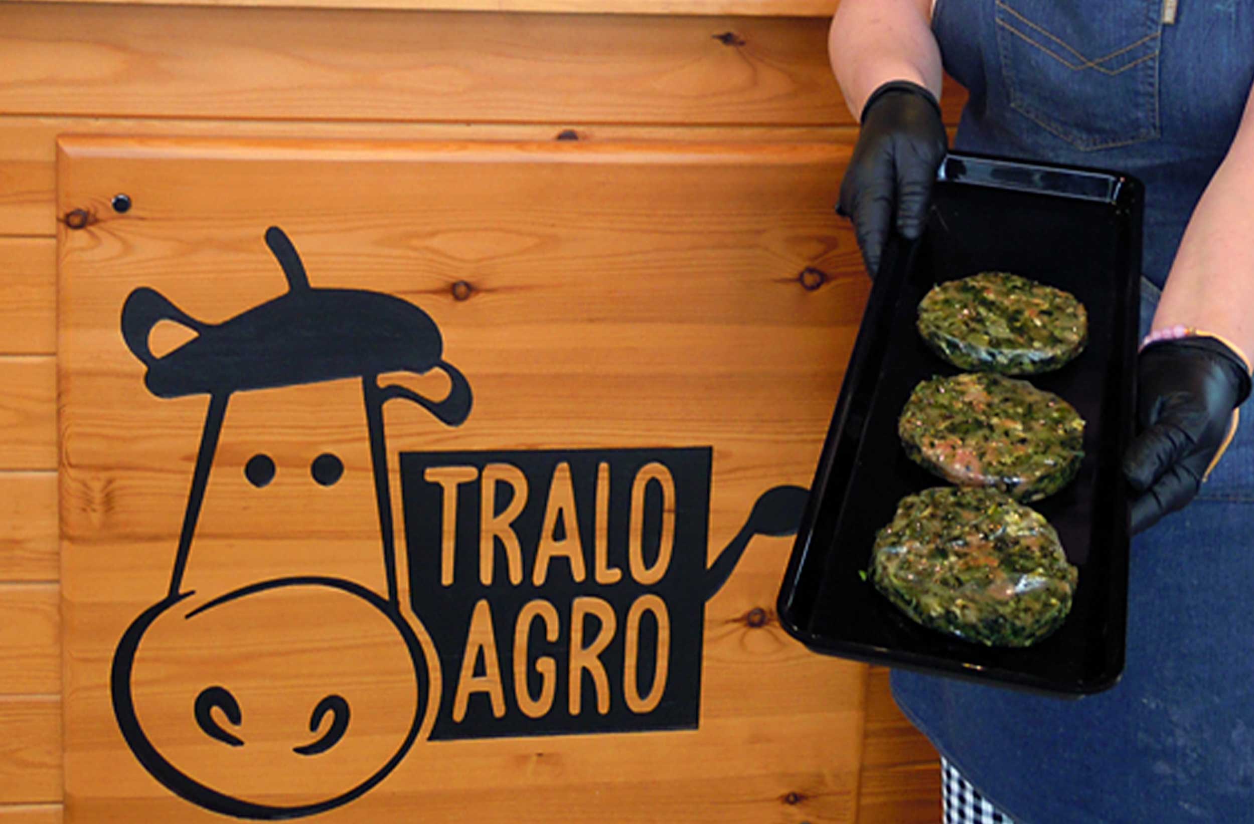 MDLC-WEB-traloagro
