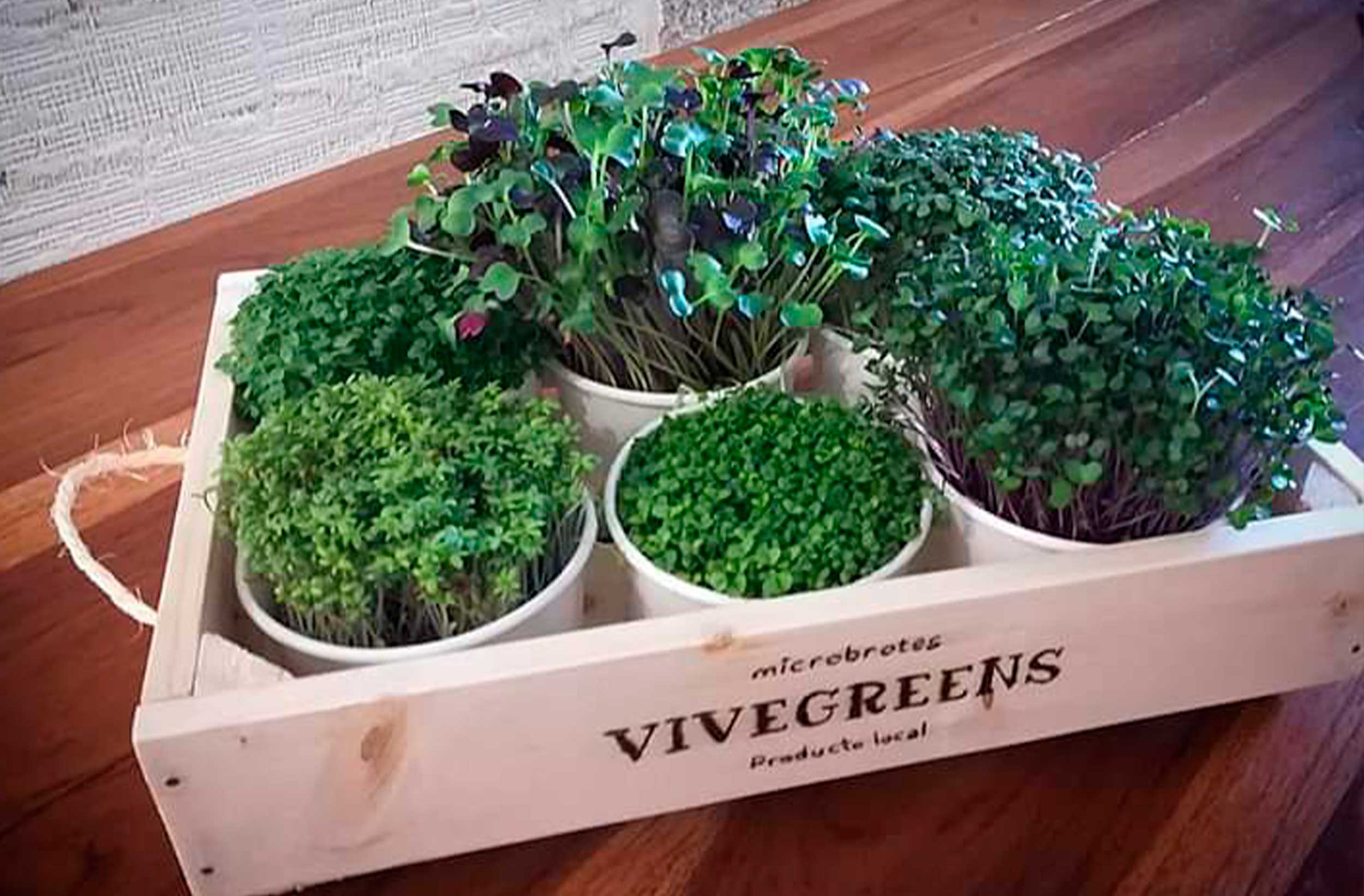 MDLC-WEB-vivegreens
