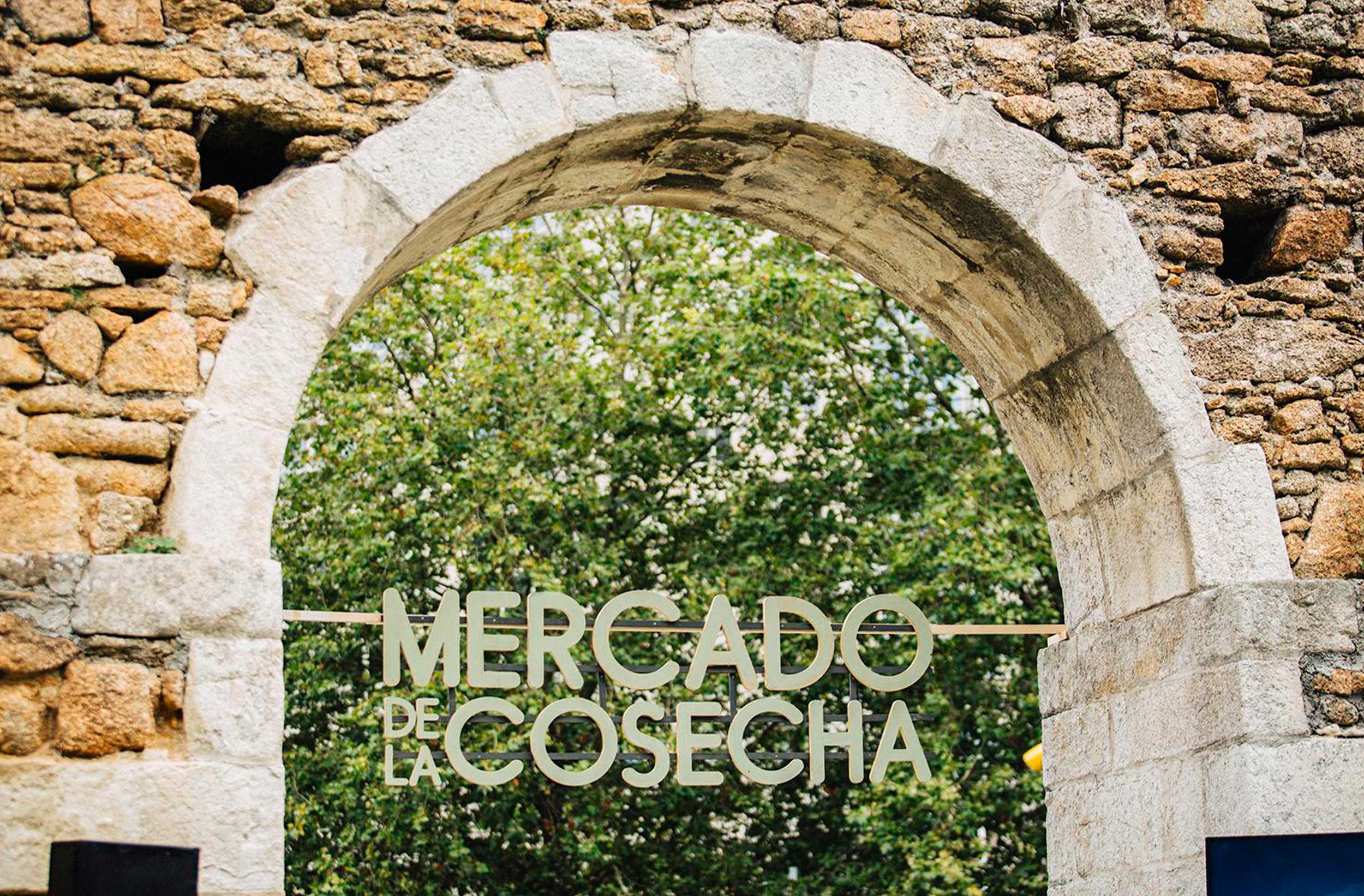 MDLC-WEB-mdlc-puentes