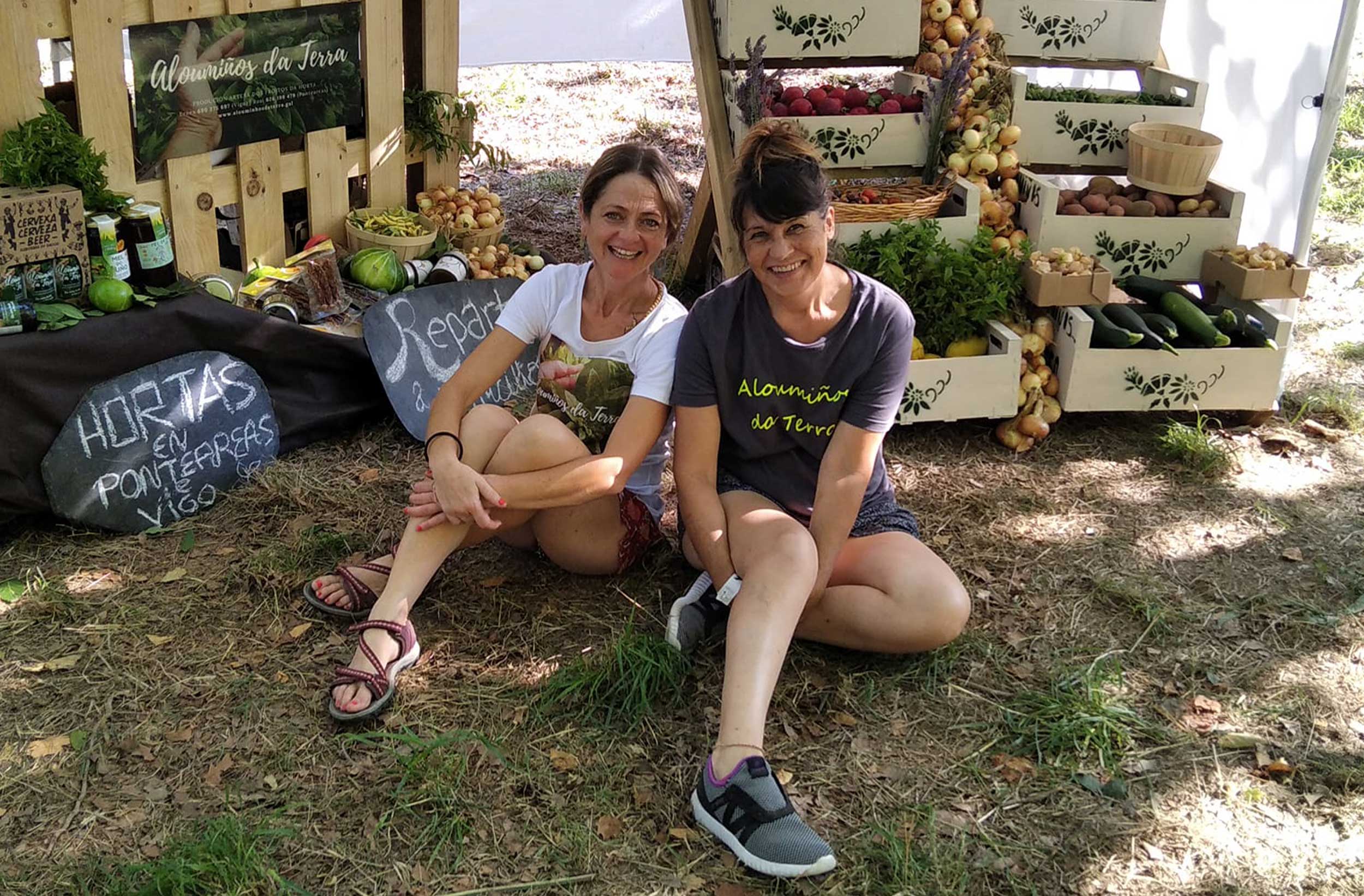 MDLC-WEB-alouminhos