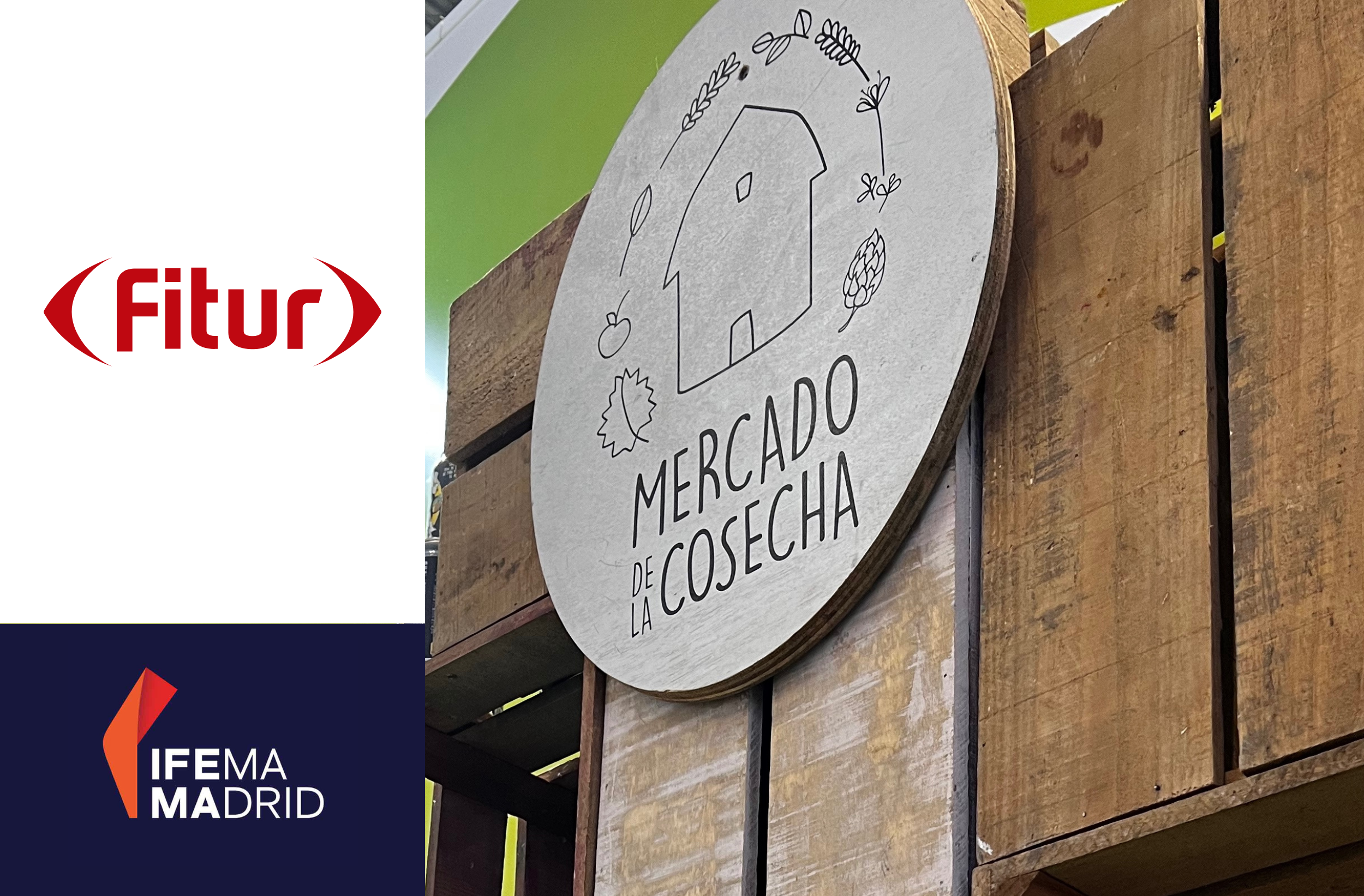 Web-MdlC-fitur