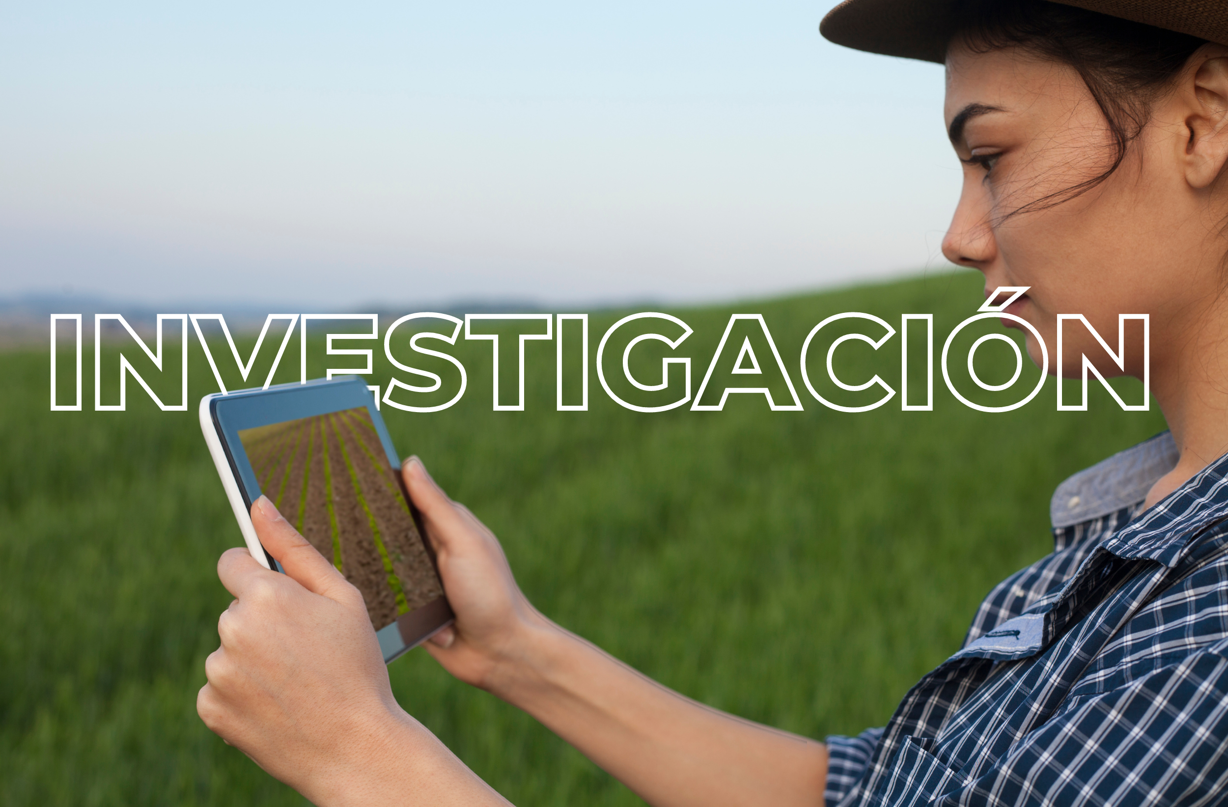 Web-MdlC-INVESTIGACION