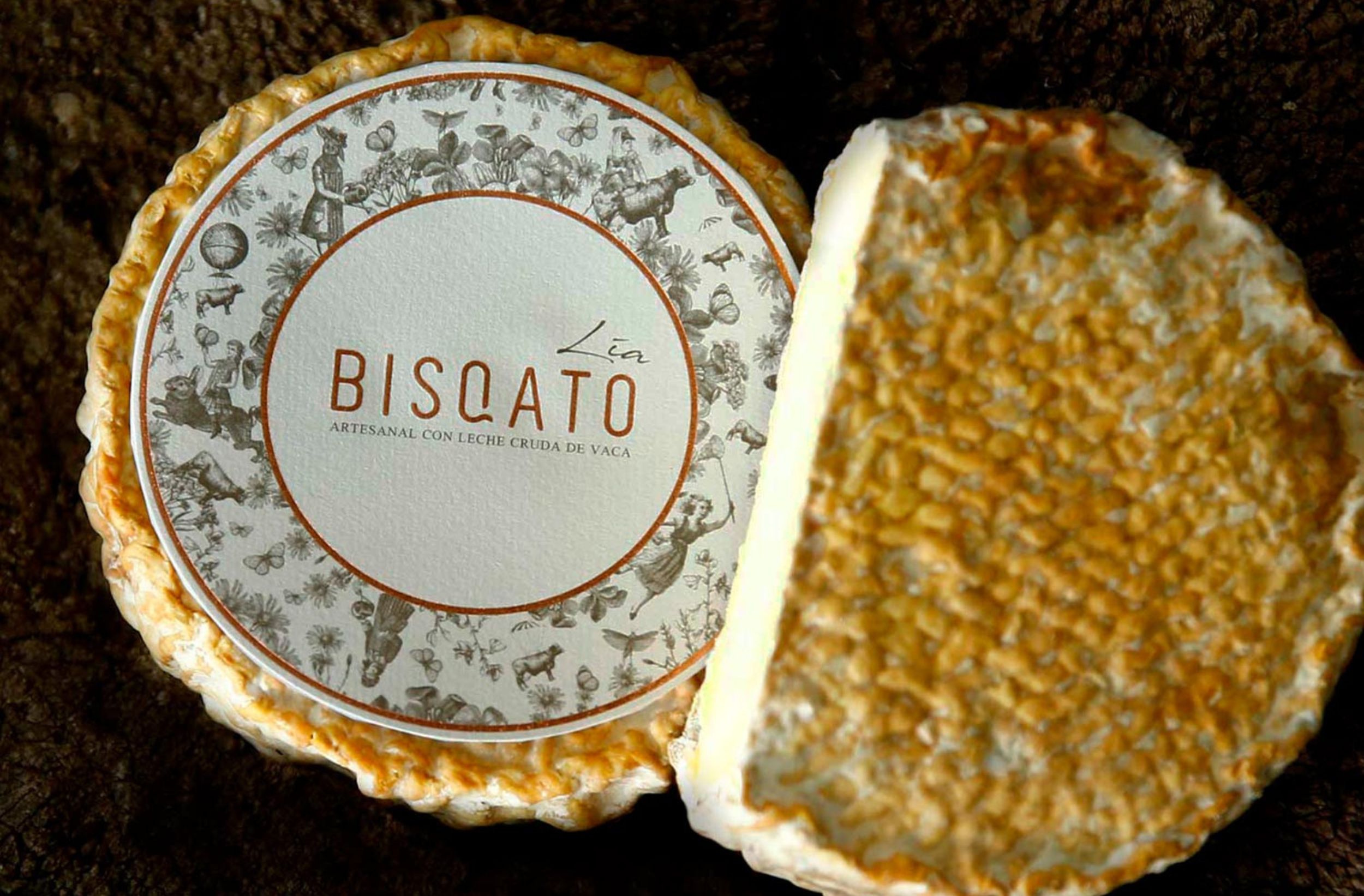 Web-mdlc-biscato