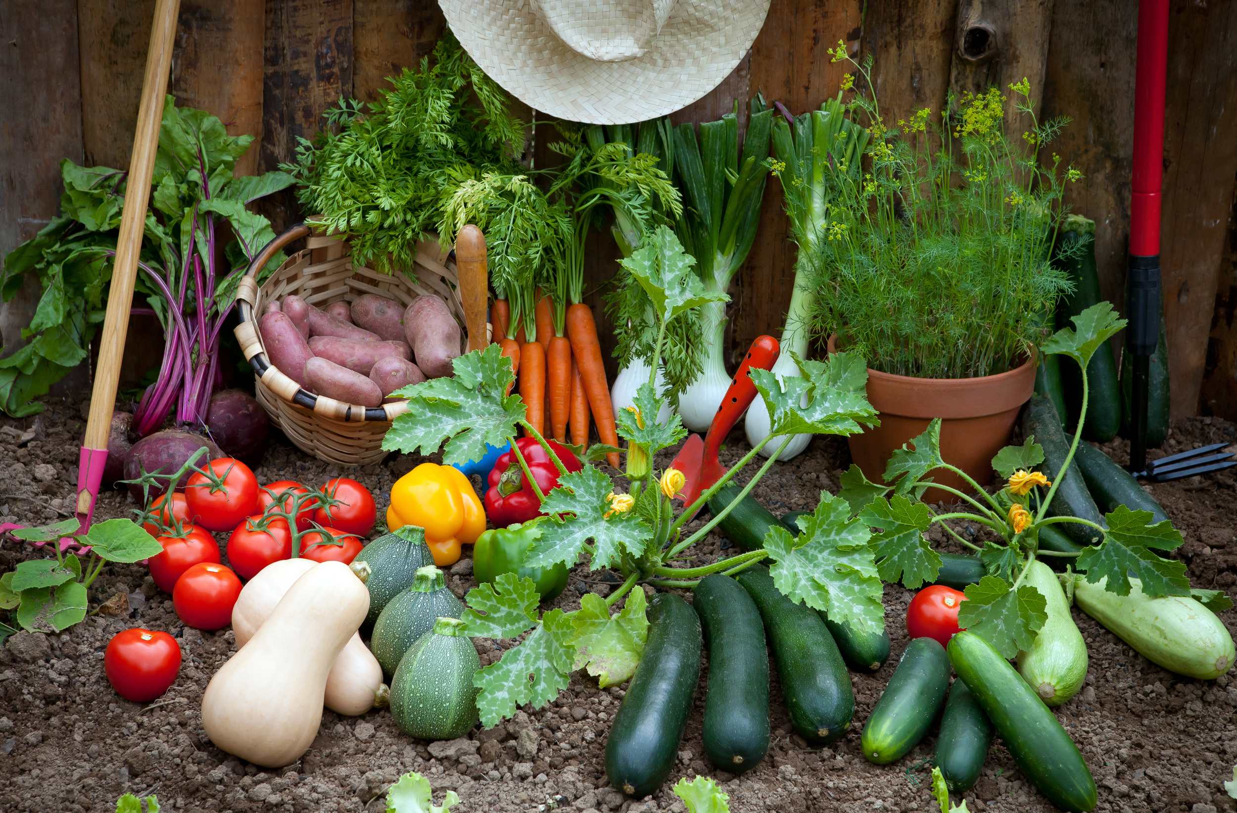 Web-MdlC-agricultura