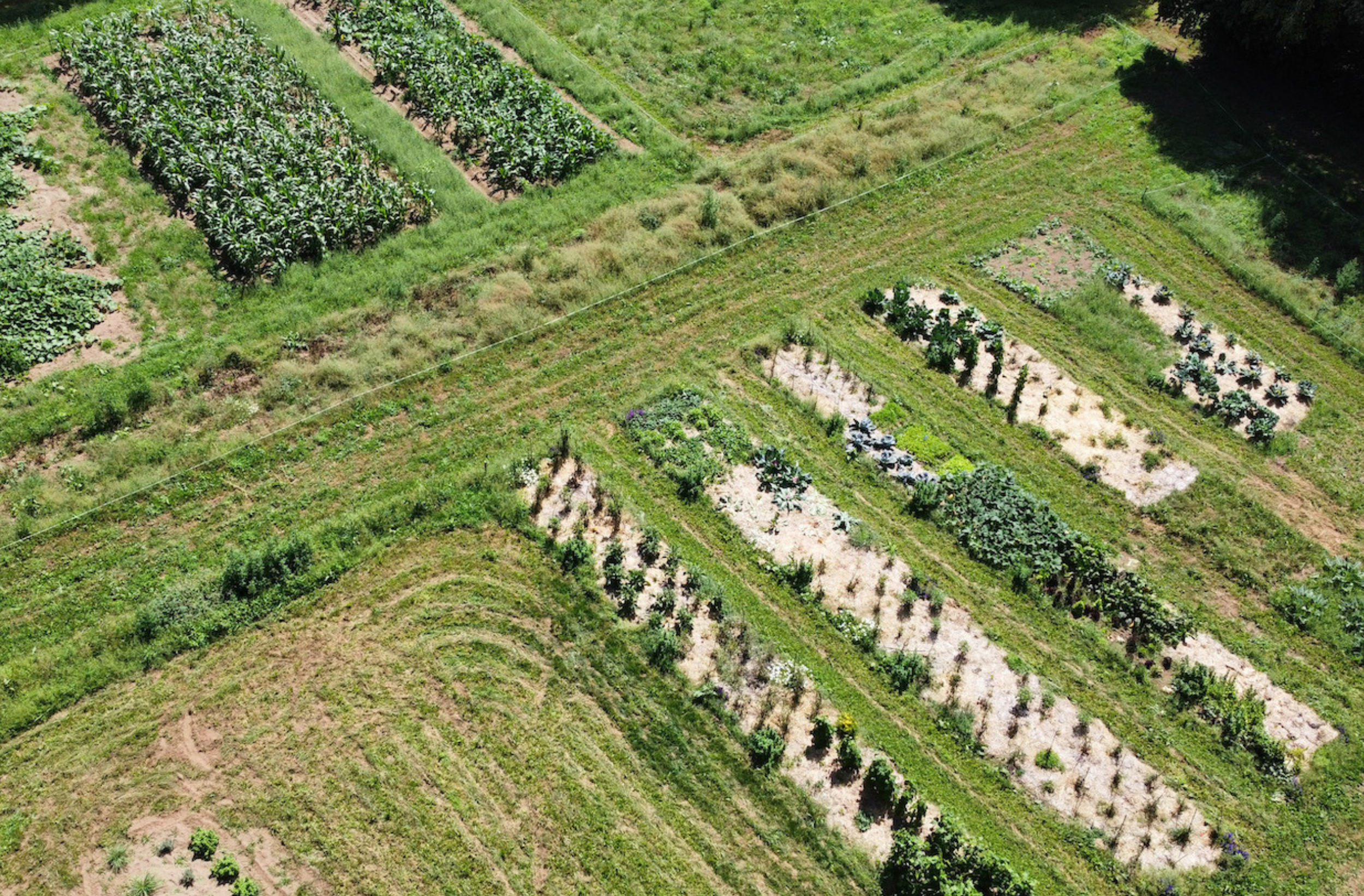 Web-MdlC-agri-reg