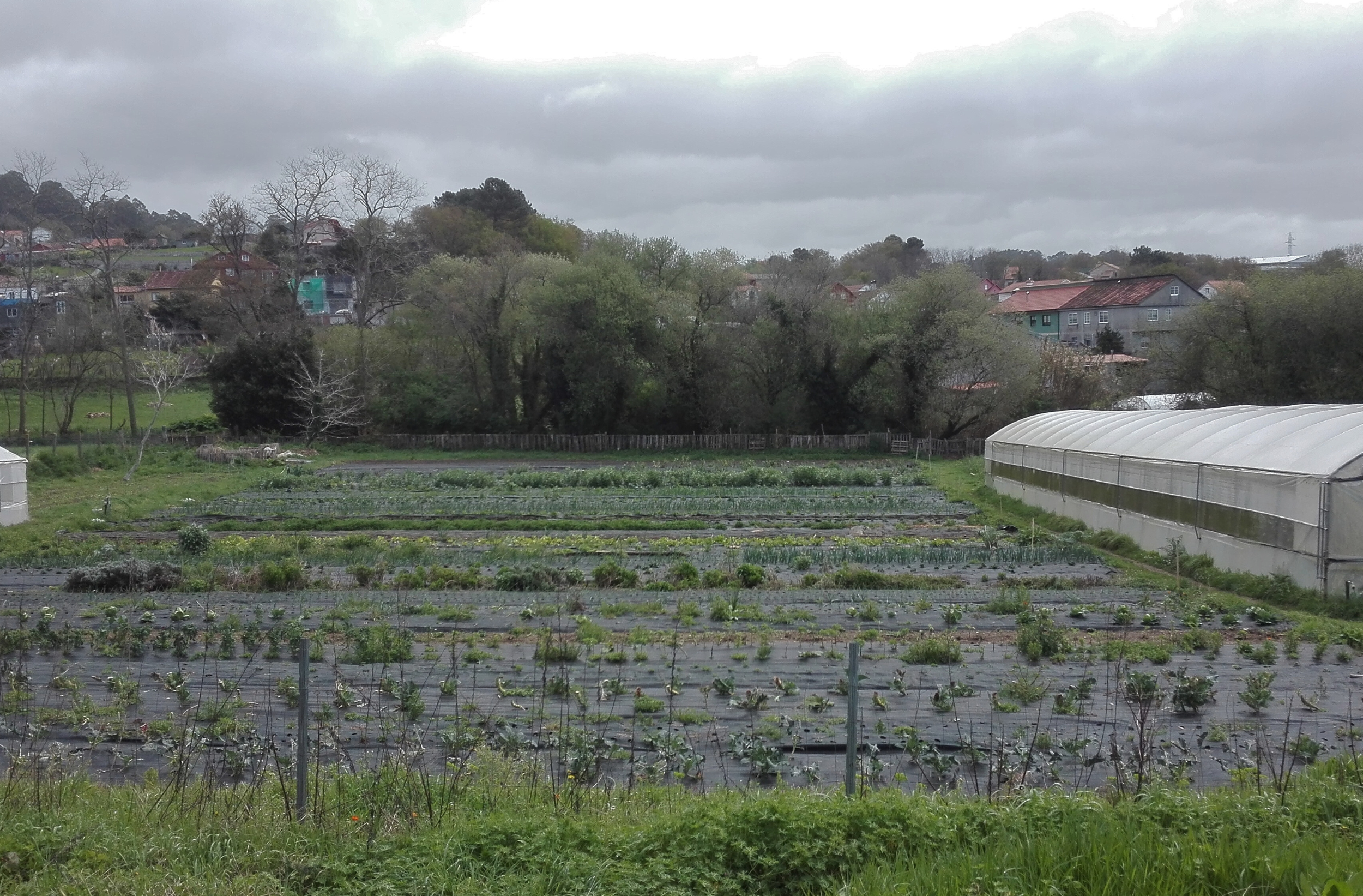 Web-MdlC-verxeldecoiro