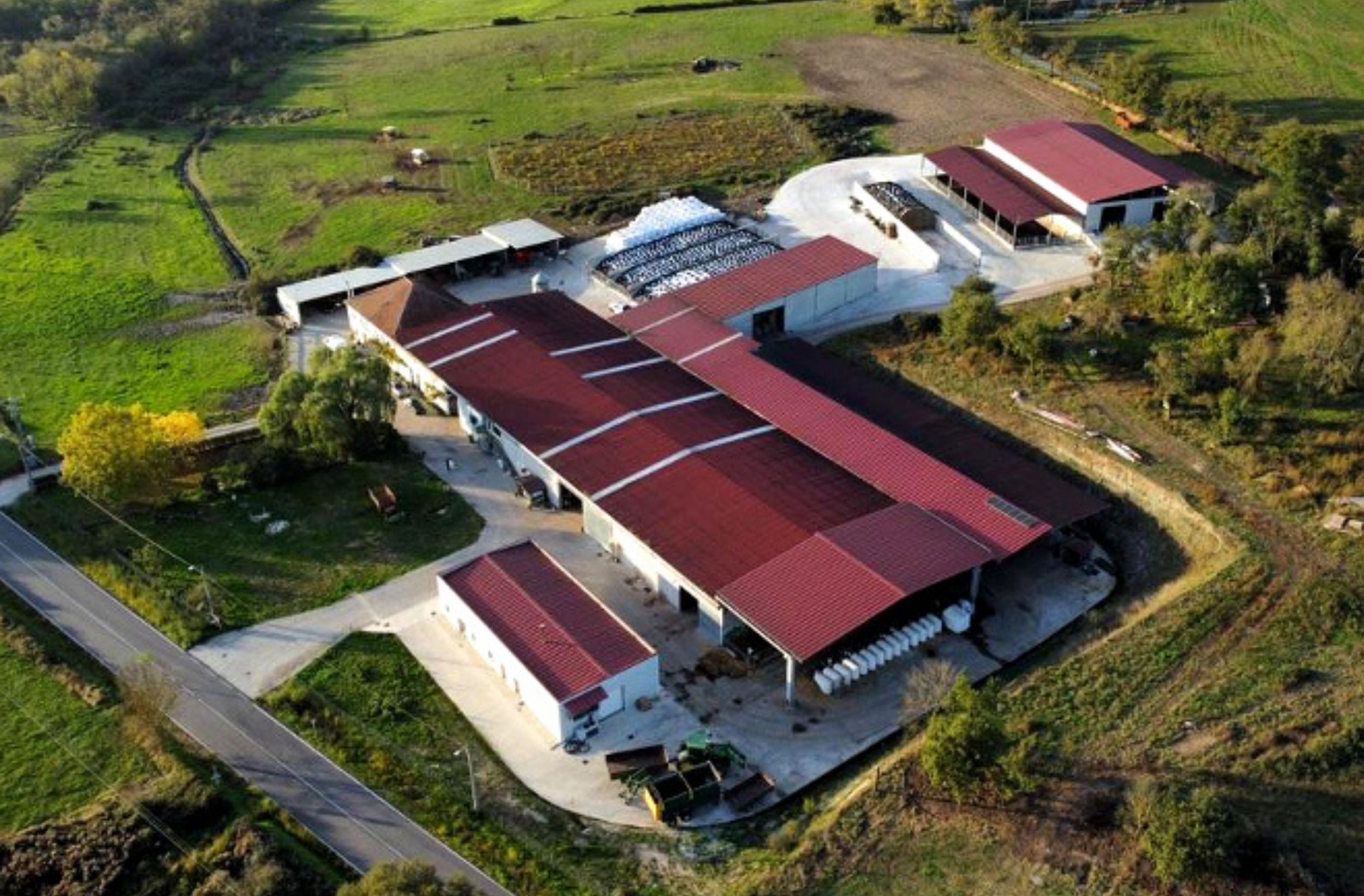 Web-MdlC-puluan